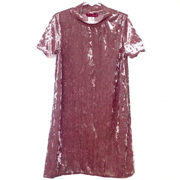 Aqua Other - Girls Pink Rose Velvet Dress M